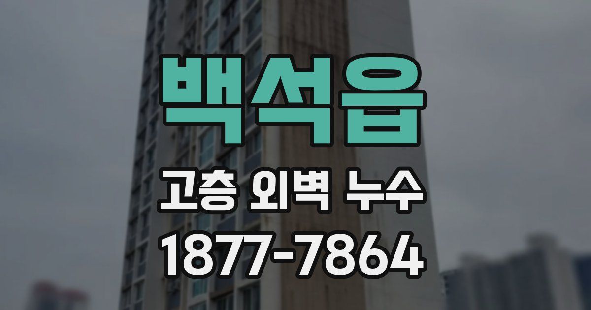 백석읍 고층 외벽 누수