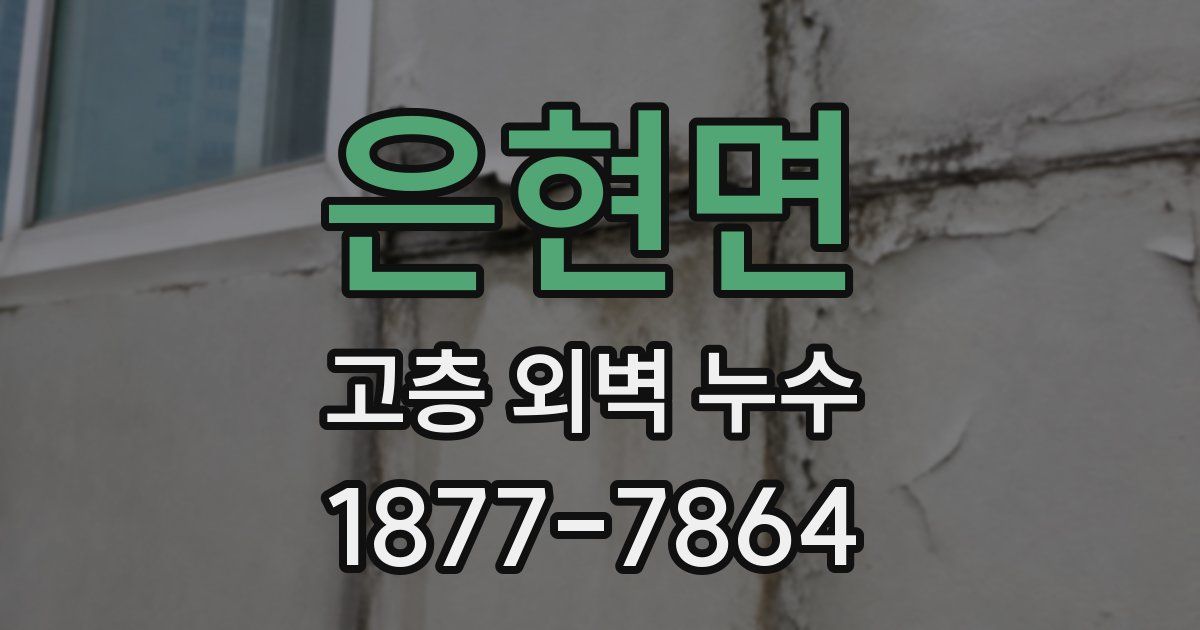 은현면 고층 외벽 누수