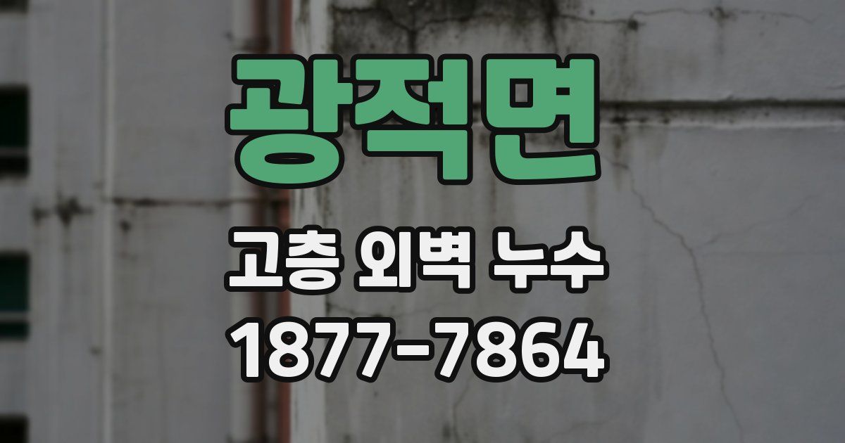 광적면 고층 외벽 누수