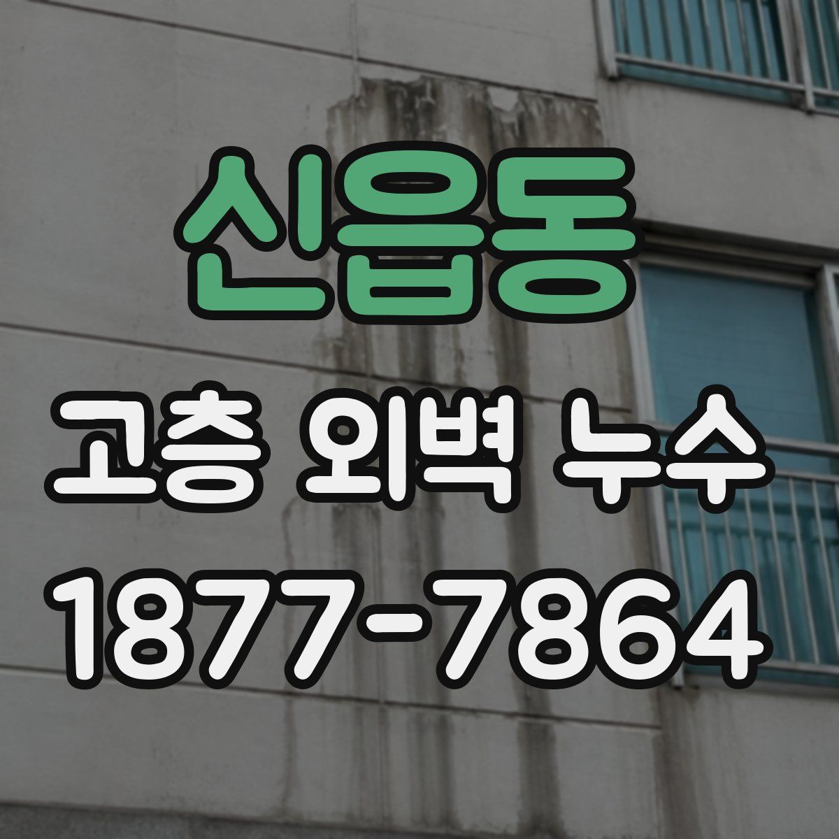 신읍동 고층 외벽 누수