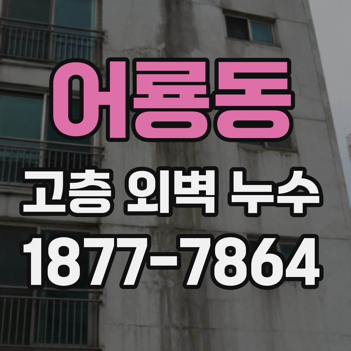 어룡동 고층 외벽 누수