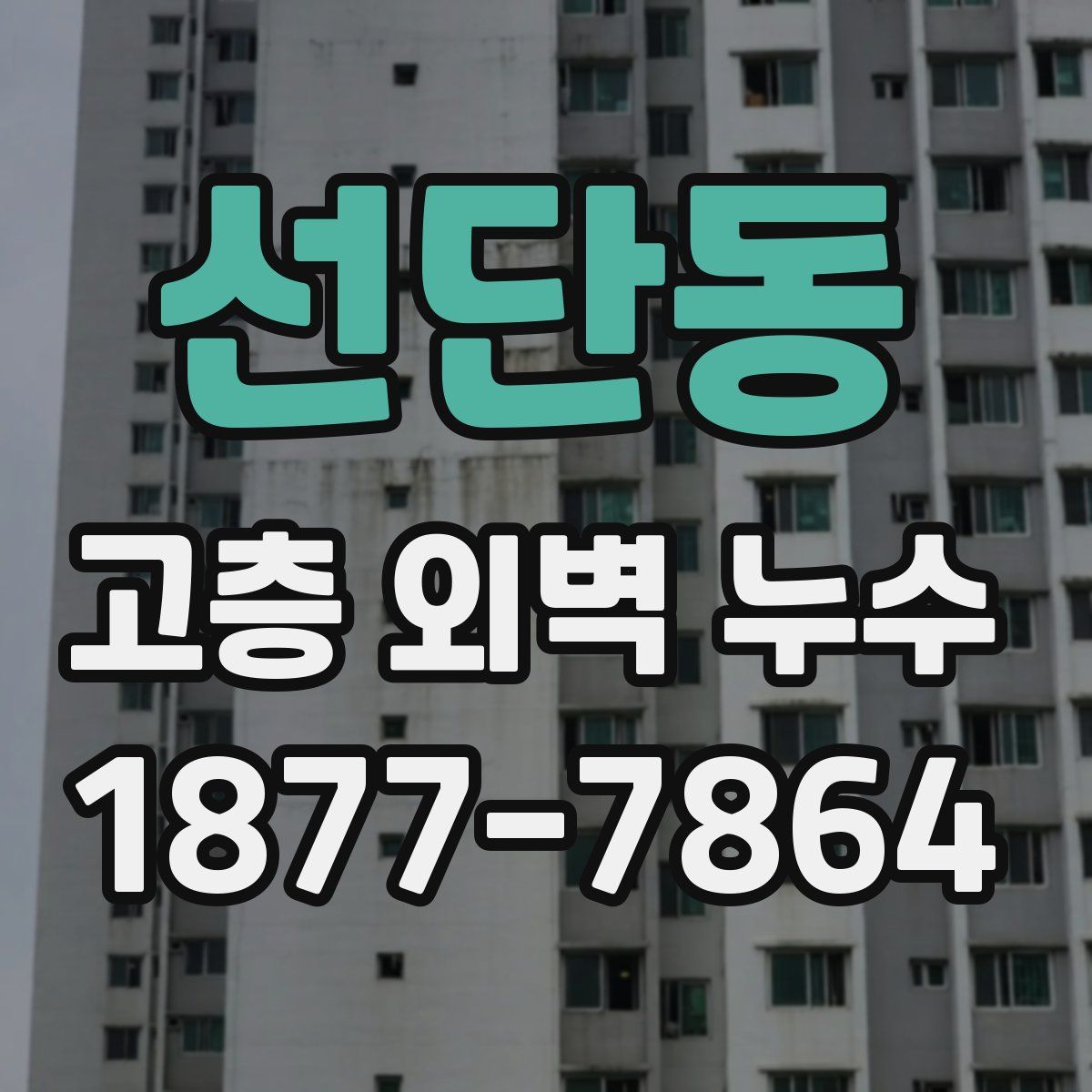 선단동 고층 외벽 누수