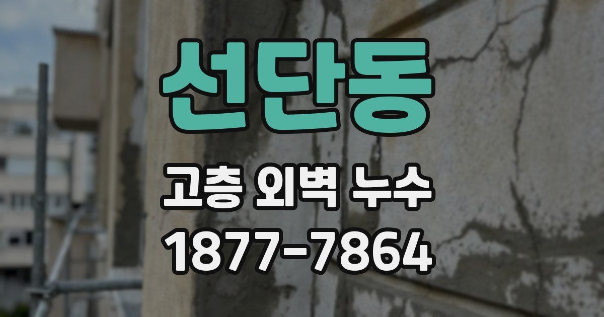 선단동 고층 외벽 누수