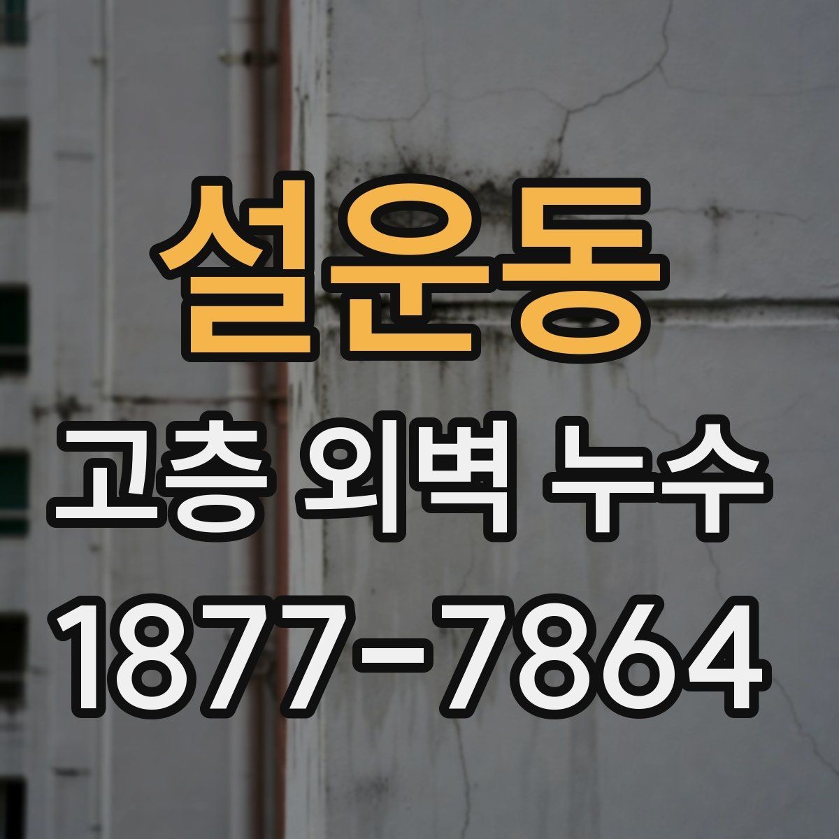 설운동 고층 외벽 누수 의심 사례를 통해 보는 판단 기준
