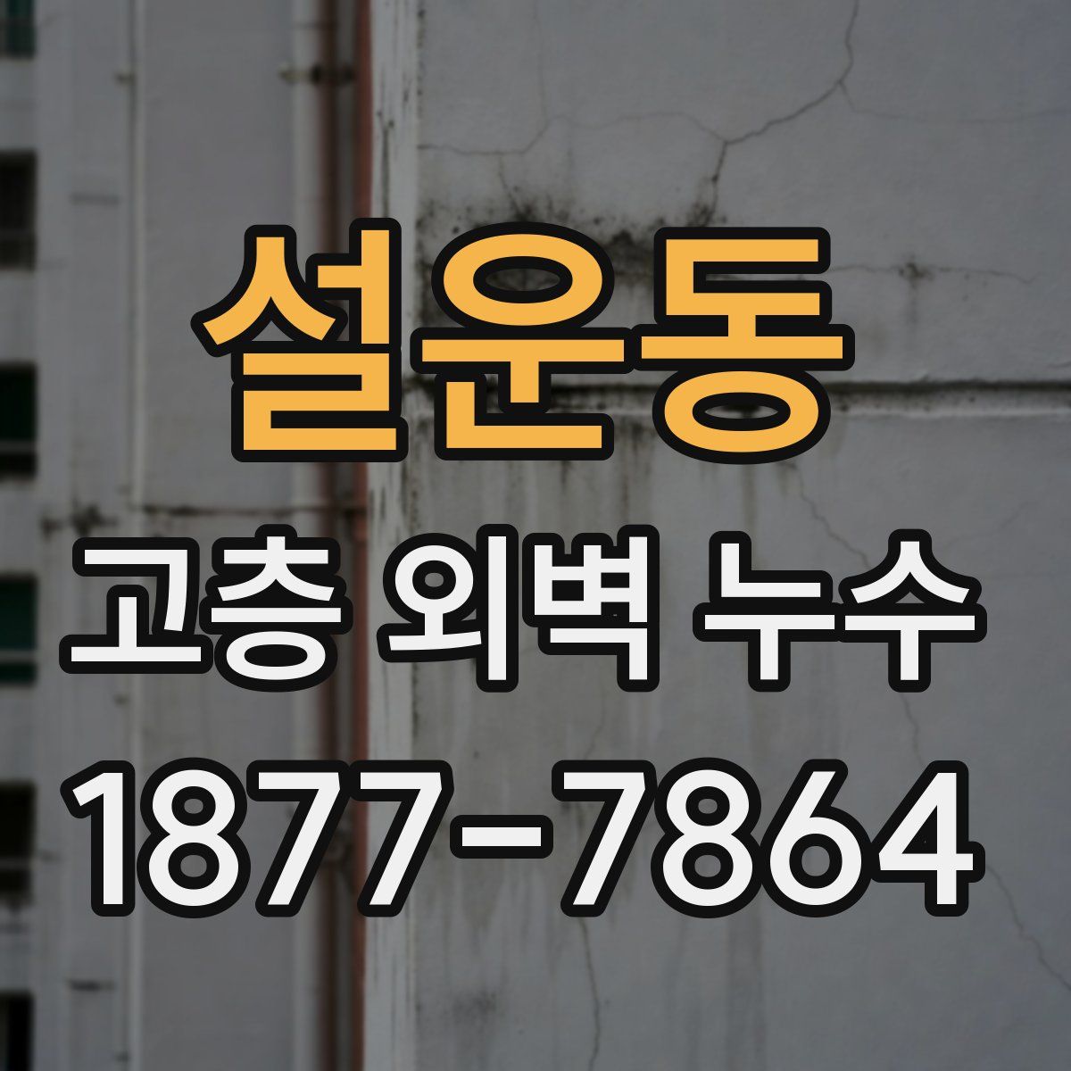 설운동 고층 외벽 누수