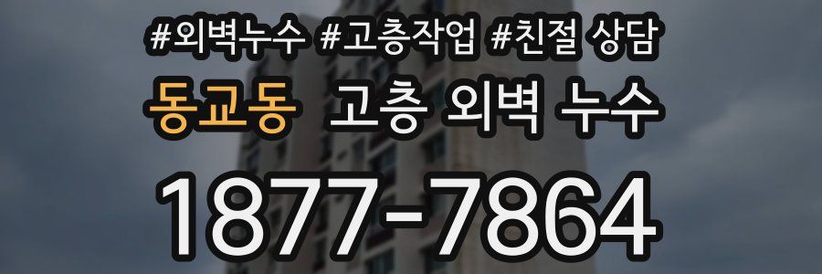 동교동 고층 외벽 누수