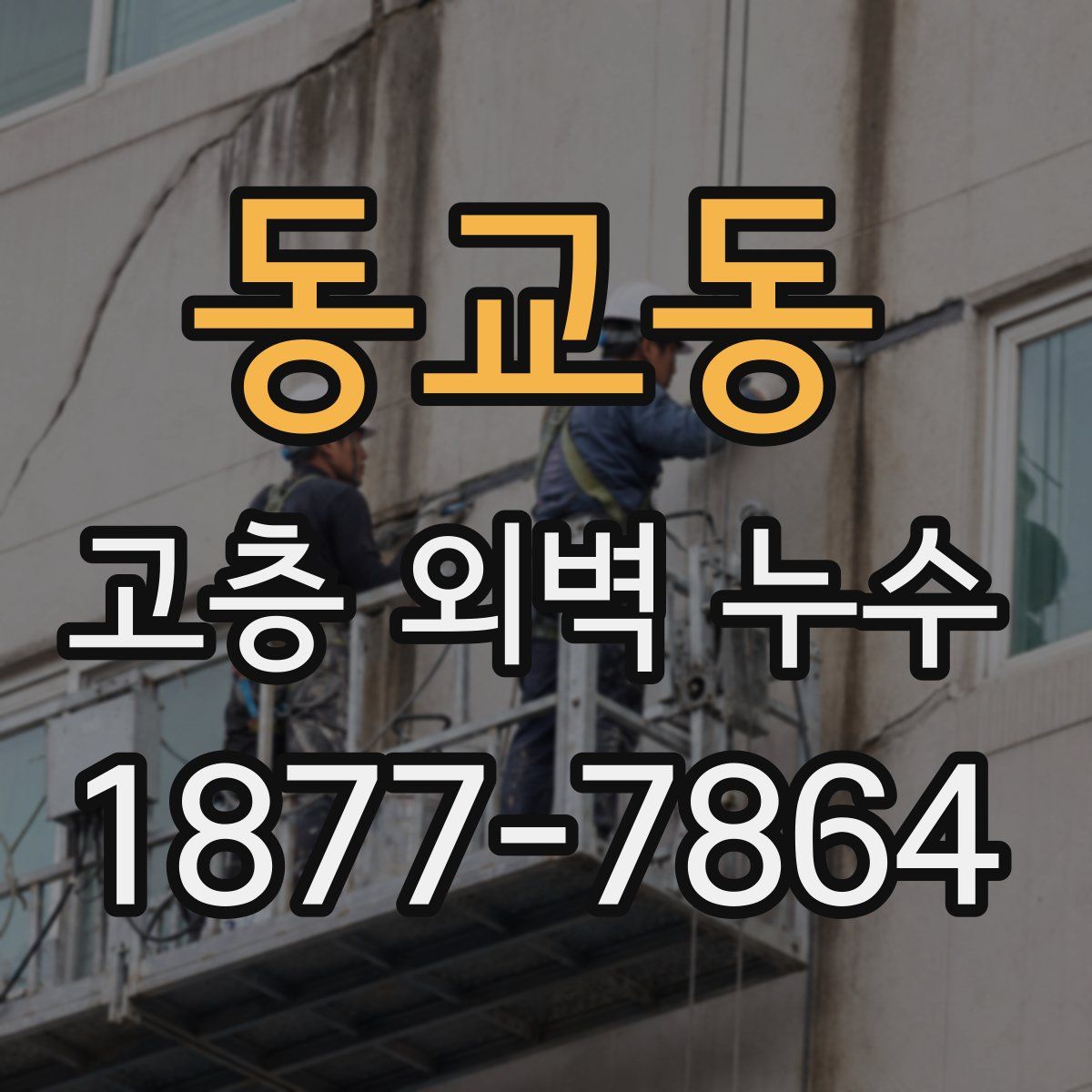 동교동 고층 외벽 누수