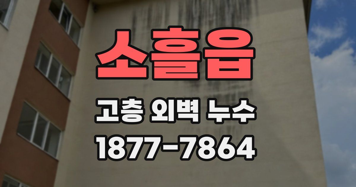 소흘읍 고층 외벽 누수
