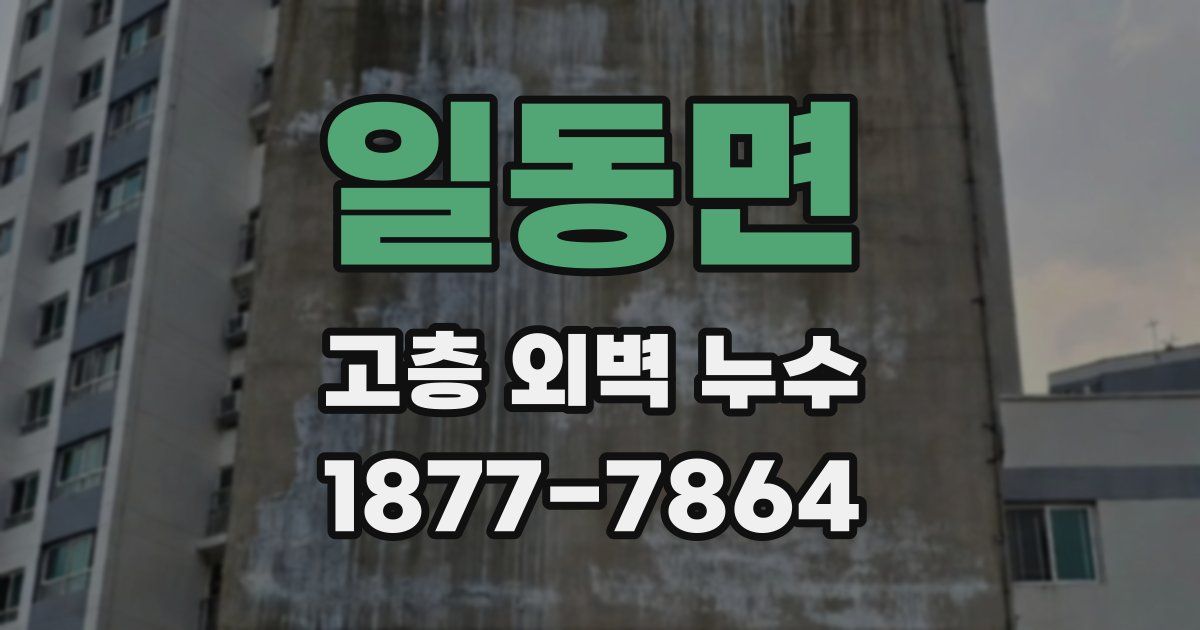 일동면 고층 외벽 누수