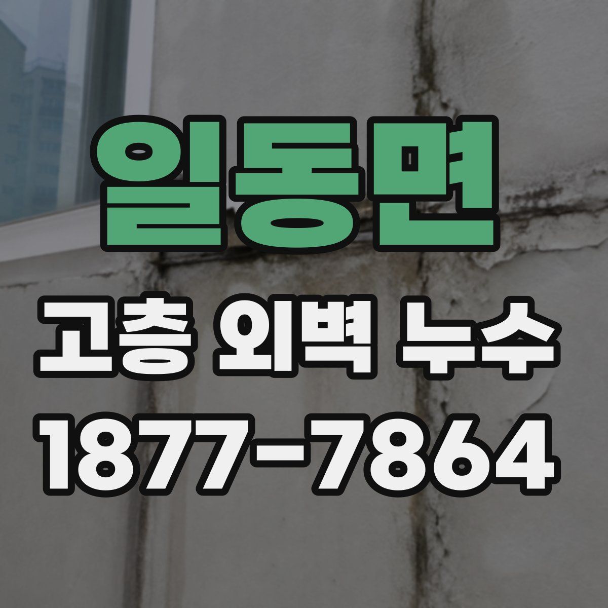 일동면 고층 외벽 누수