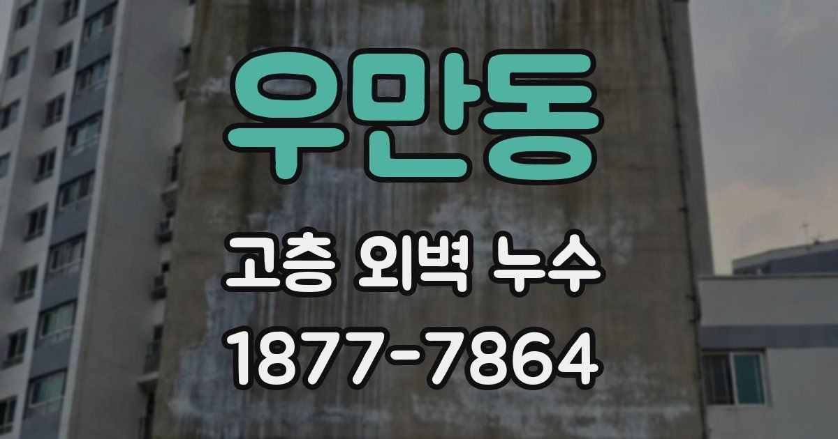 우만동 고층 외벽 누수