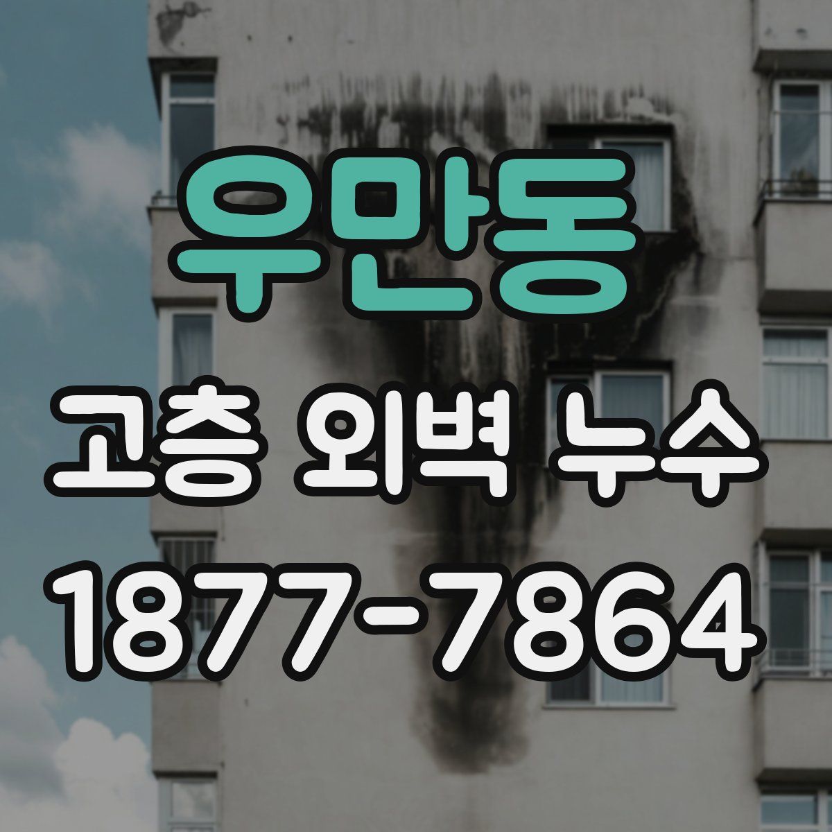 우만동 고층 외벽 누수