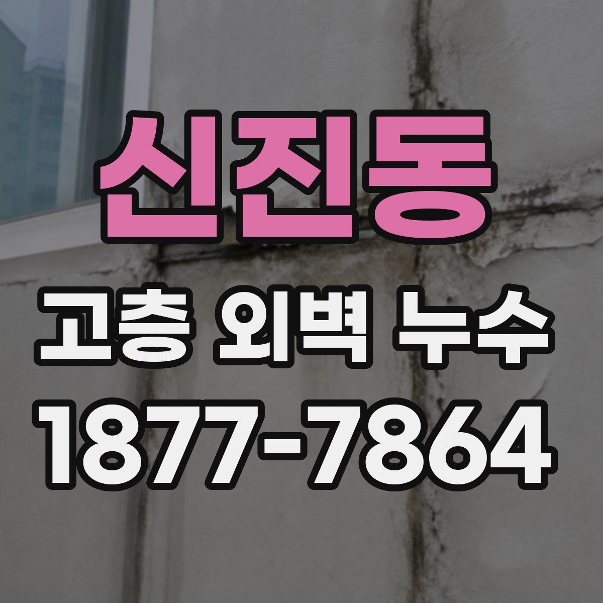 신진동 고층 외벽 누수