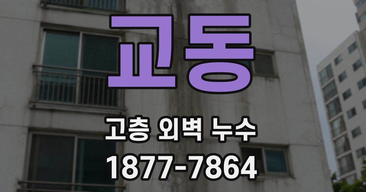 교동 고층 외벽 누수