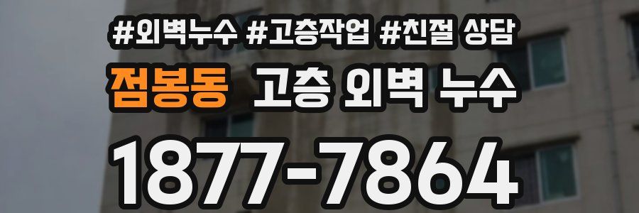 점봉동 고층 외벽 누수