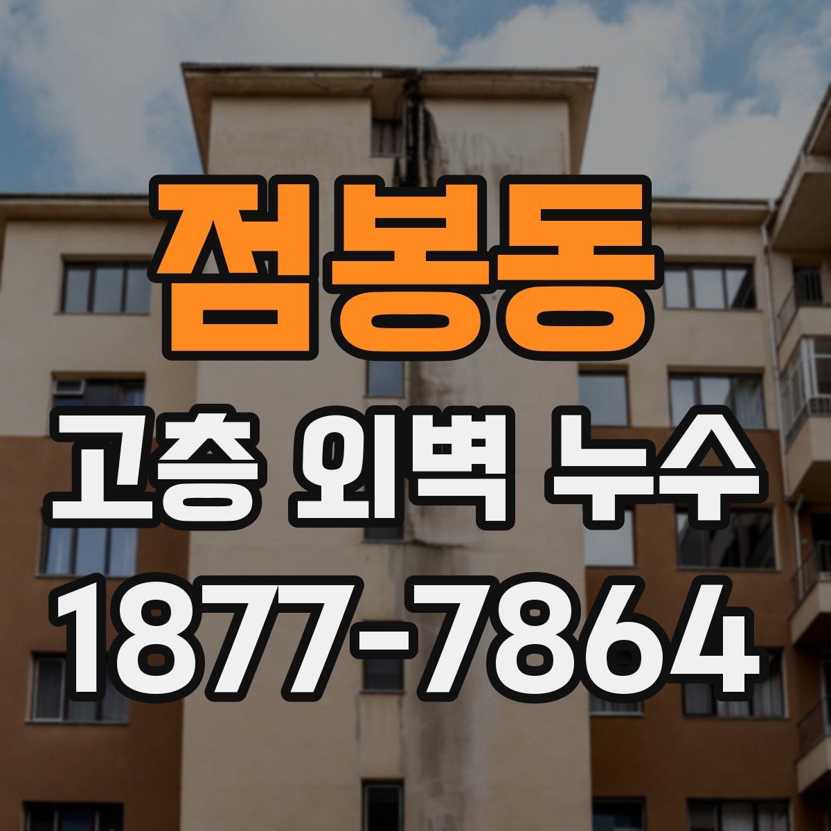 점봉동 고층 외벽 누수
