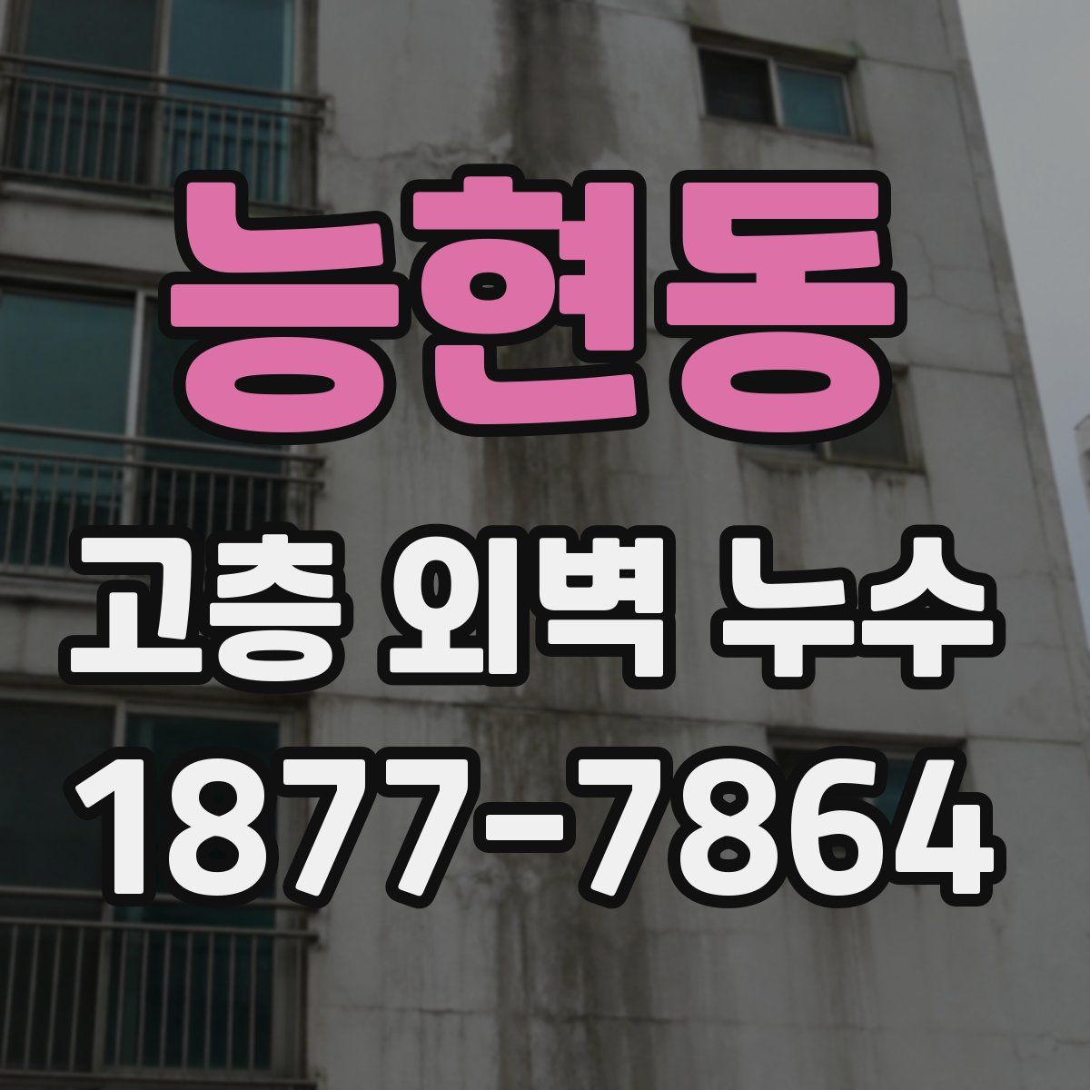능현동 고층 외벽 누수