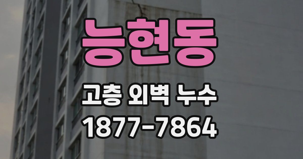 능현동 고층 외벽 누수