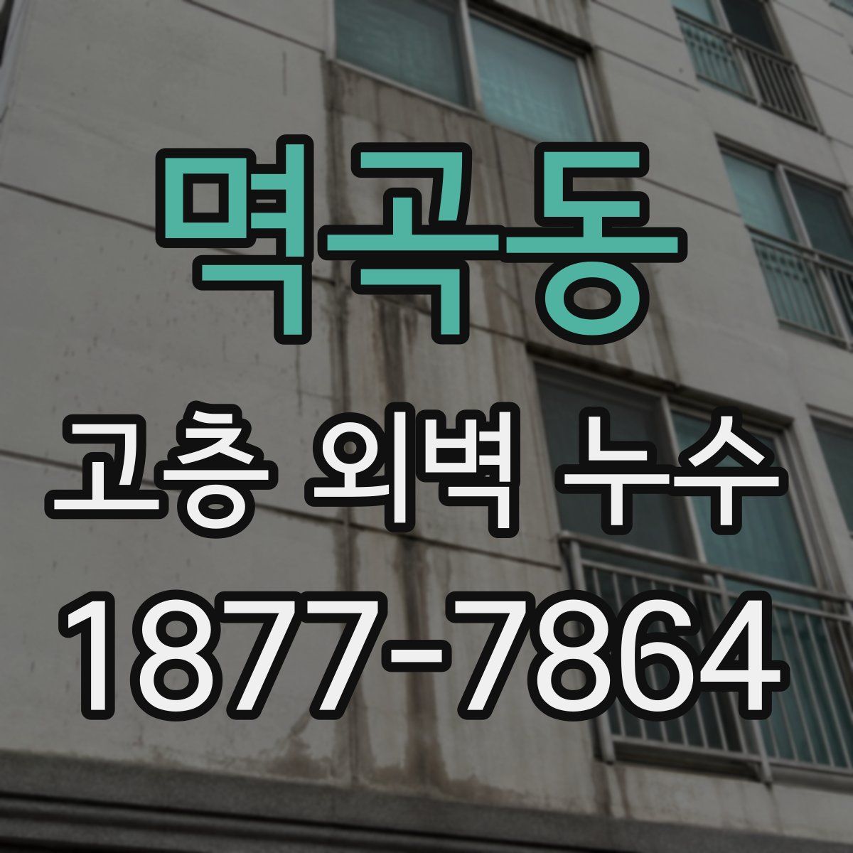 멱곡동 고층 외벽 누수