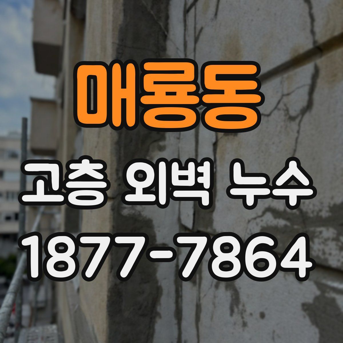 매룡동 고층 외벽 누수