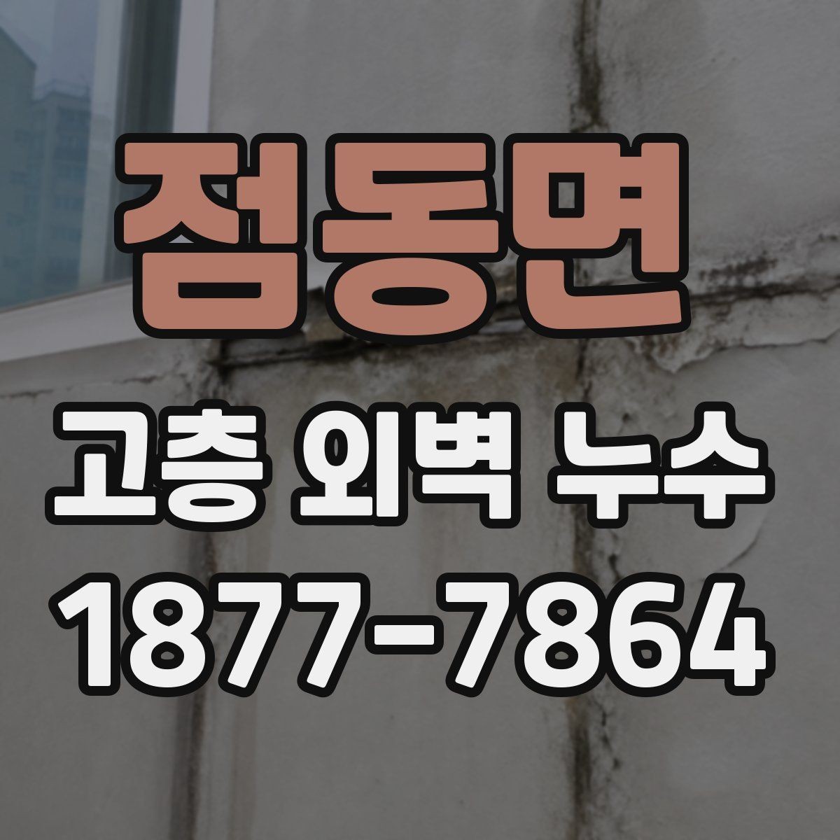 점동면 고층 외벽 누수 발생 시 대응 방법