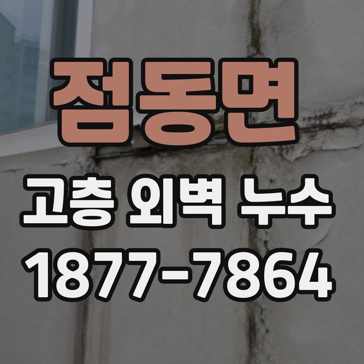 점동면 고층 외벽 누수