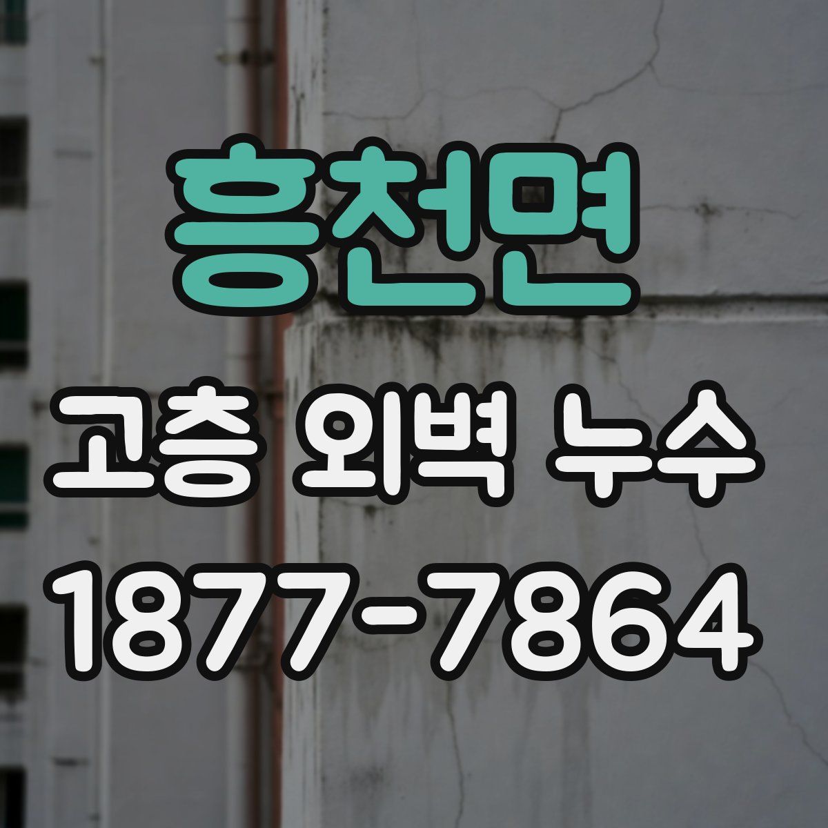 흥천면 고층 외벽 누수