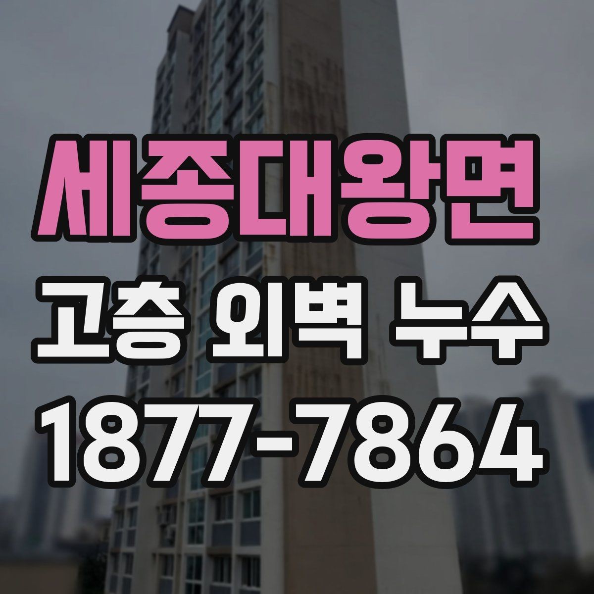 세종대왕면 고층 외벽 누수 공사 견적 볼 때 주의할 점