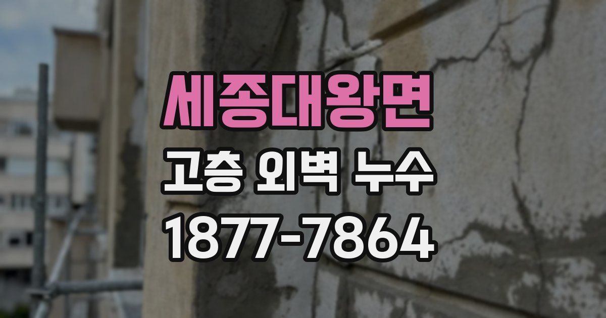 세종대왕면 고층 외벽 누수