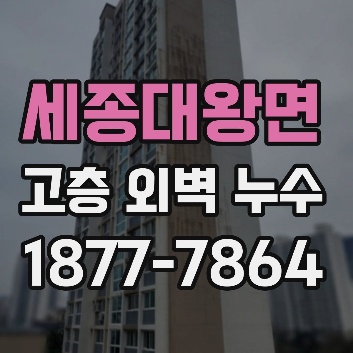 세종대왕면 고층 외벽 누수