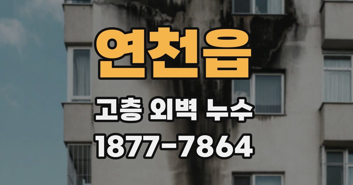 연천읍 고층 외벽 누수