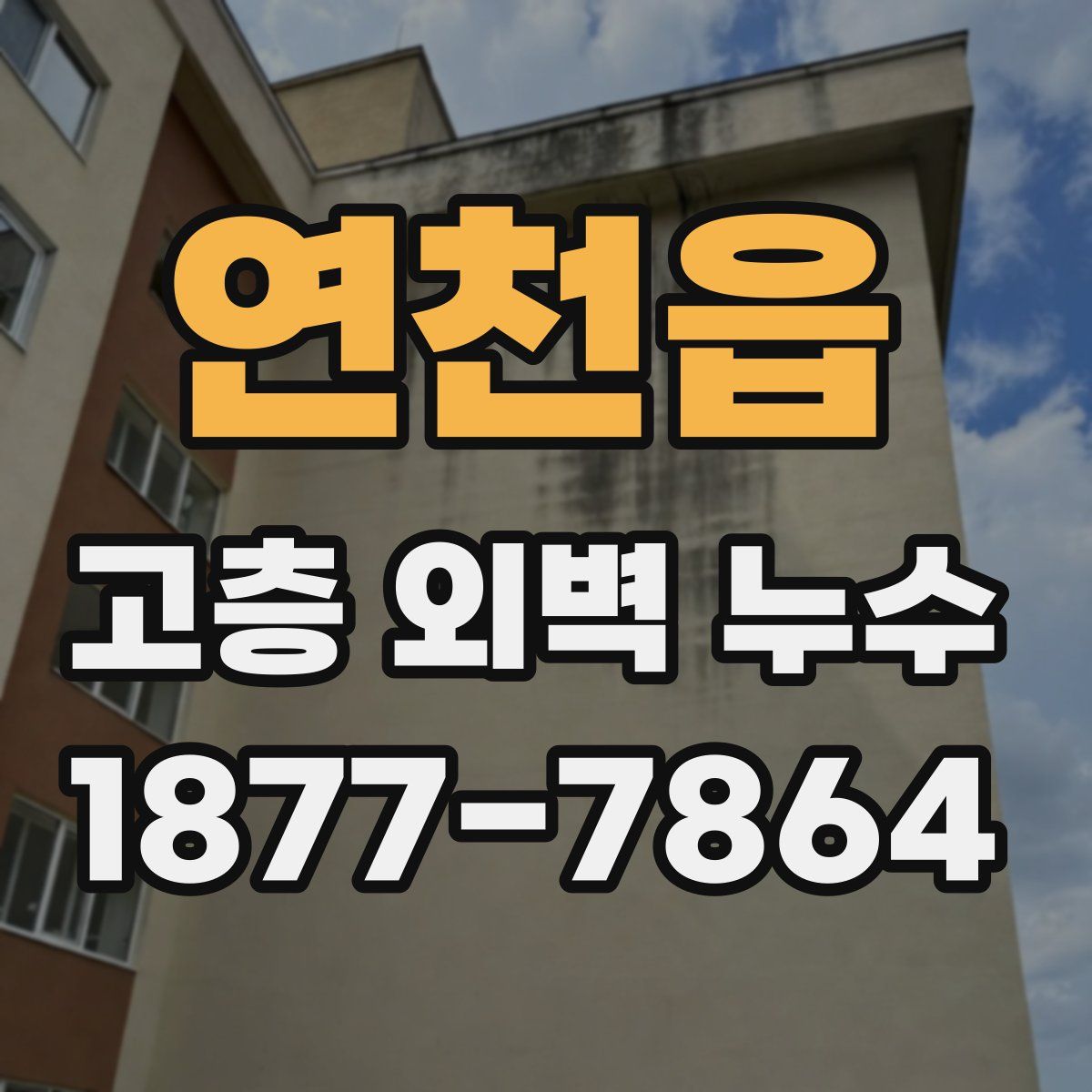 연천읍 고층 외벽 누수