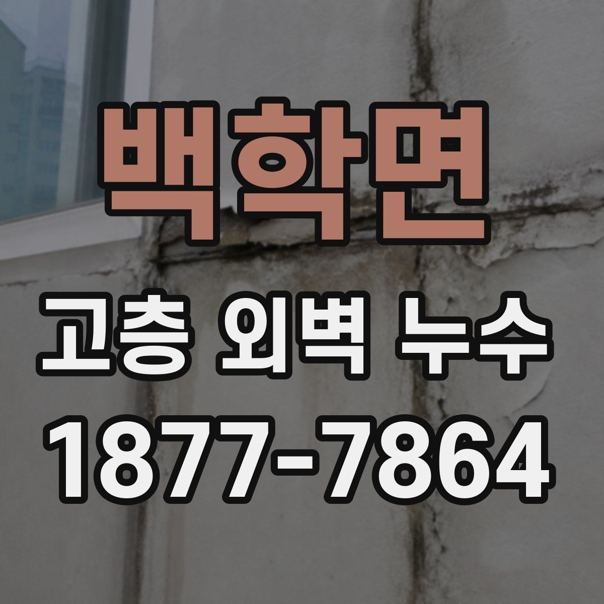 백학면 고층 외벽 누수