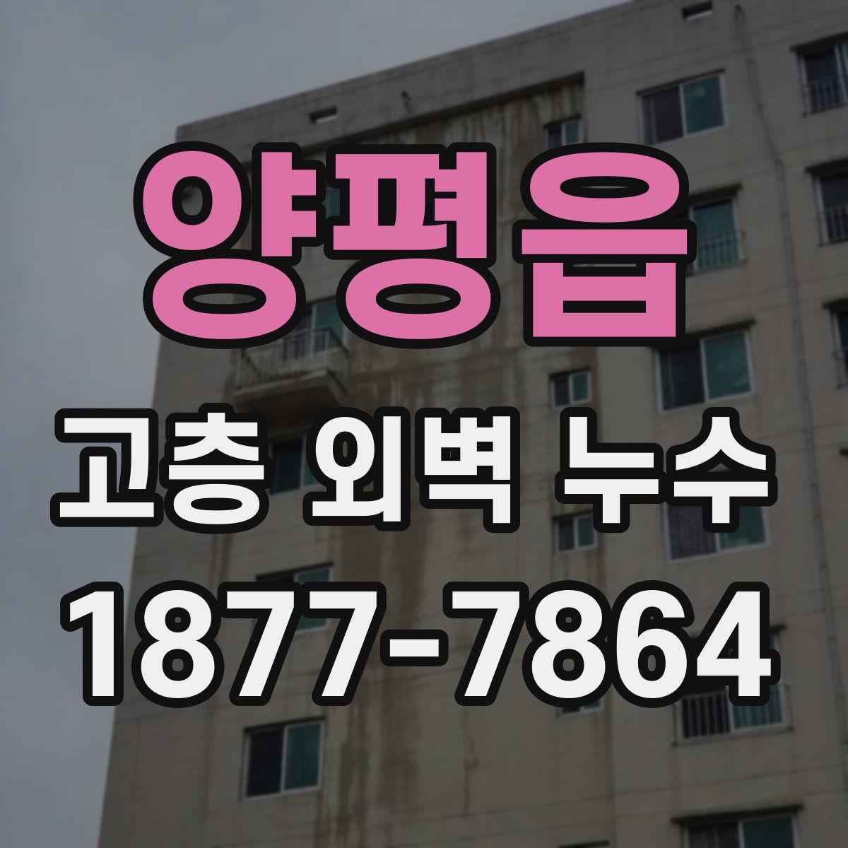 양평읍 고층 외벽 누수