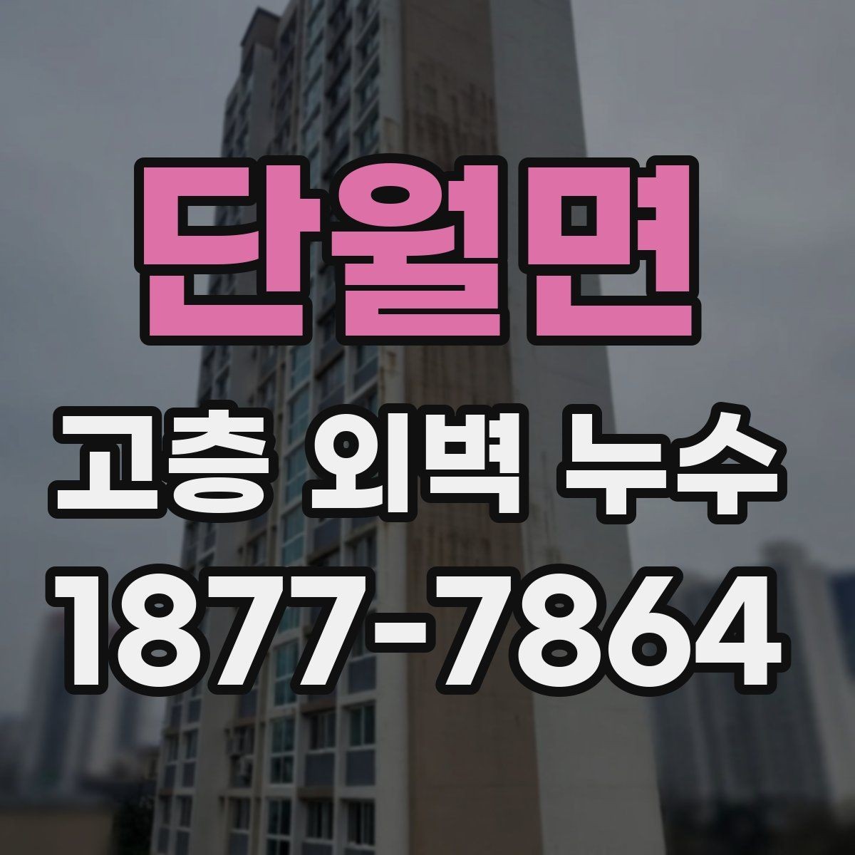 단월면 고층 외벽 누수 건물 유형별 점검 포인트