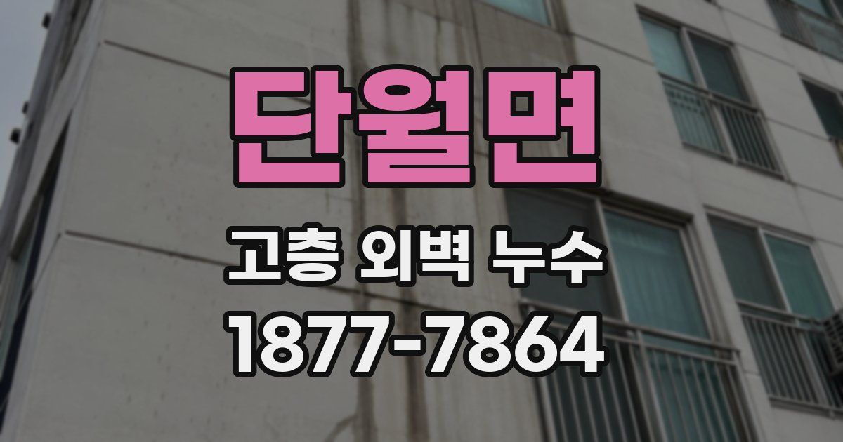 단월면 고층 외벽 누수