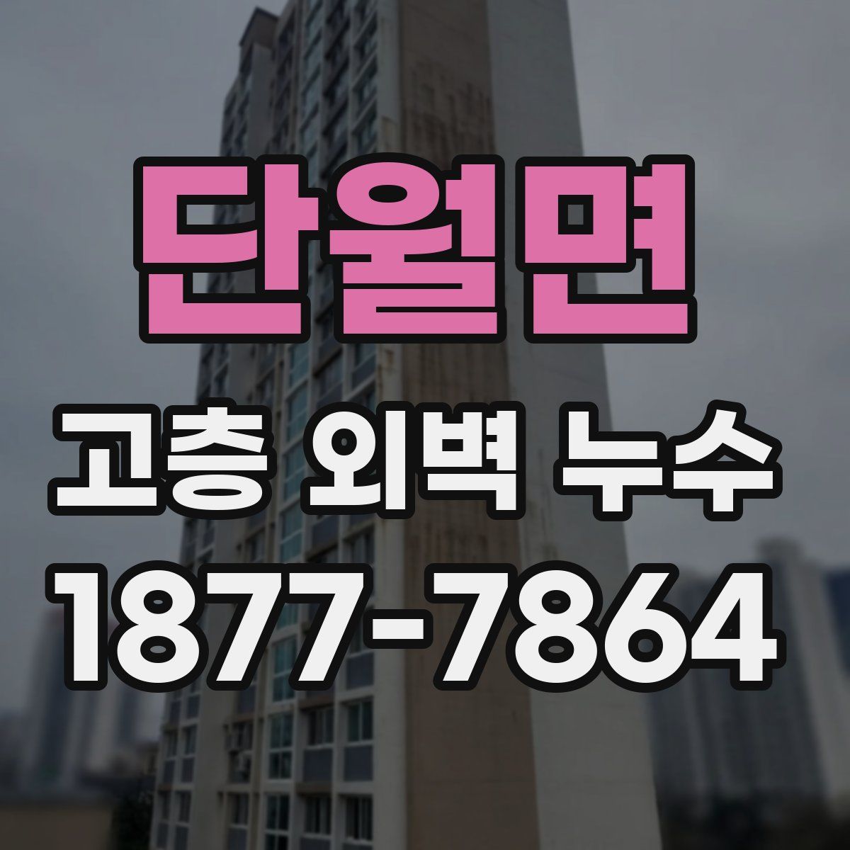 단월면 고층 외벽 누수