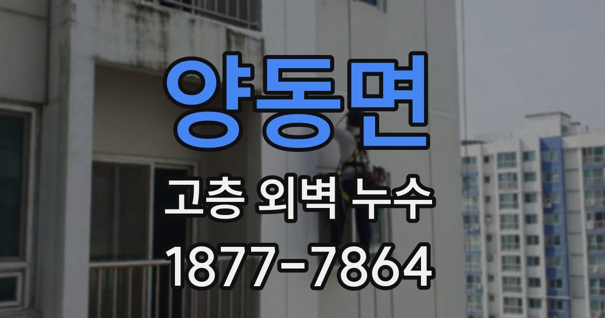 양동면 고층 외벽 누수