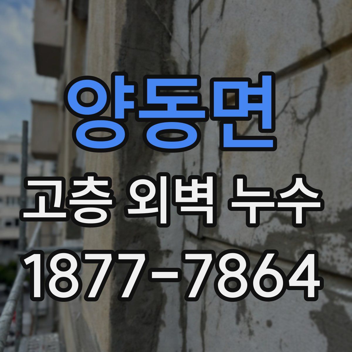 양동면 고층 외벽 누수