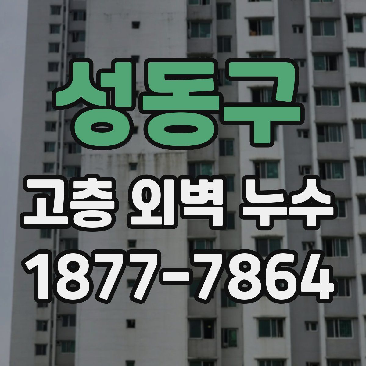 성동구 고층 외벽 누수
