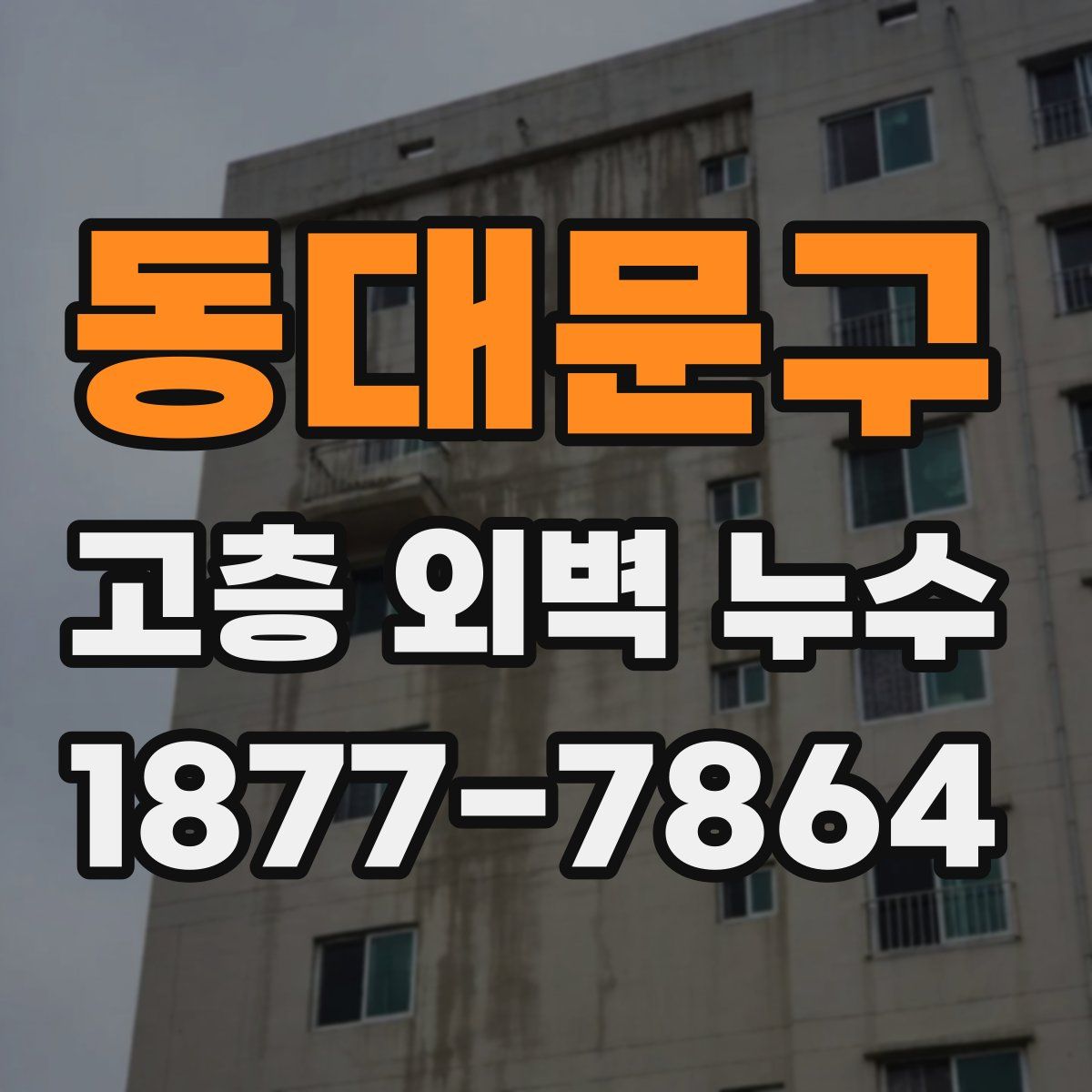 동대문구 고층 외벽 누수