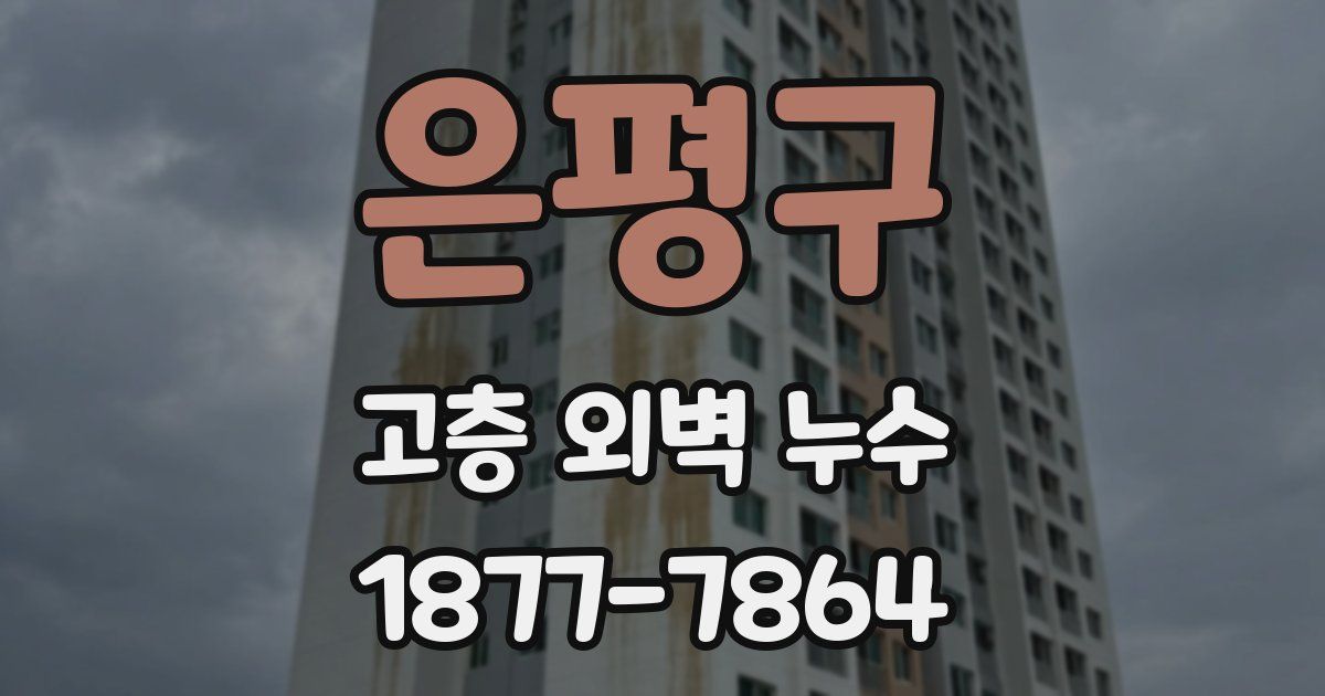 은평구 고층 외벽 누수