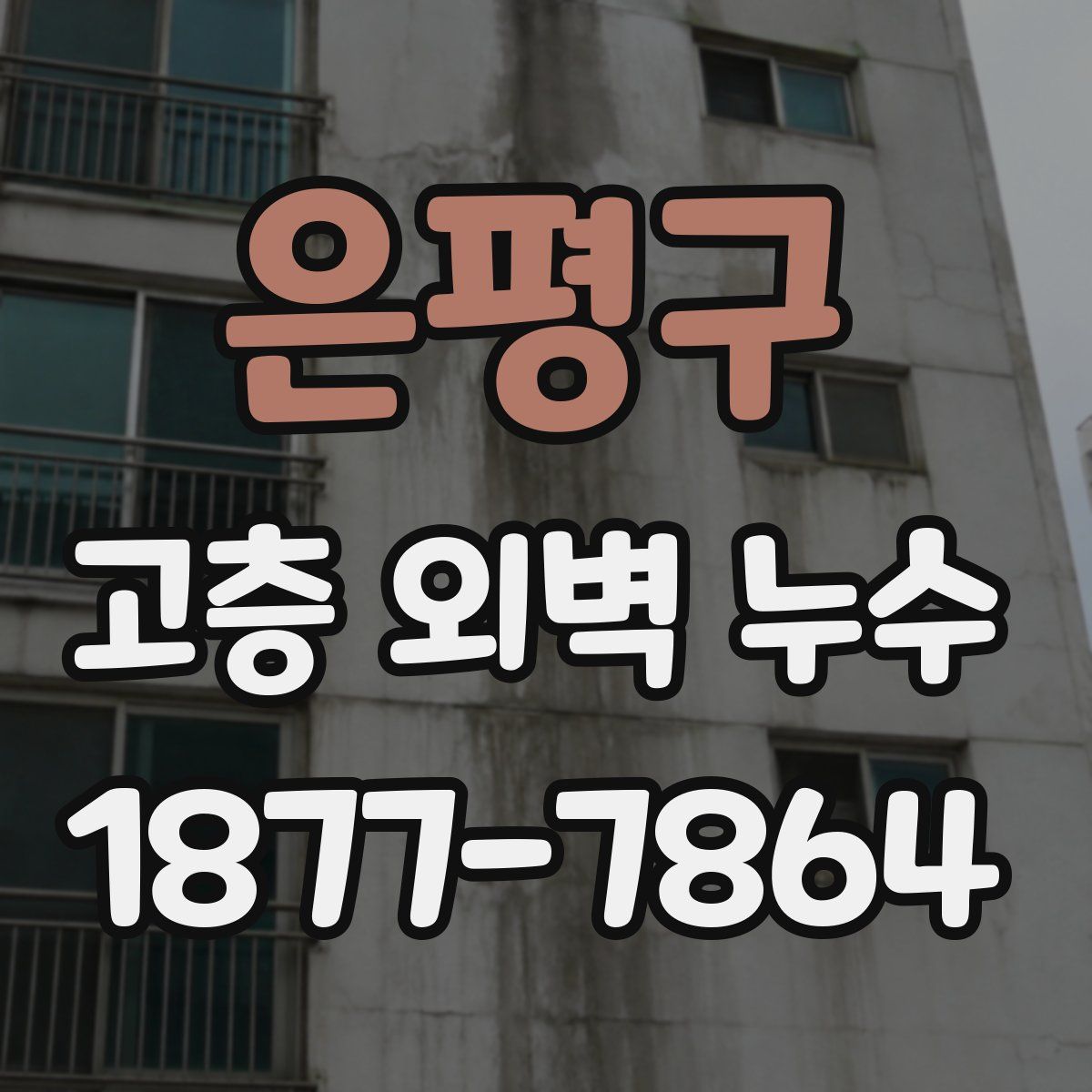 은평구 고층 외벽 누수