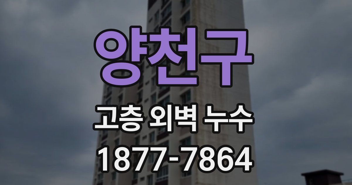 양천구 고층 외벽 누수