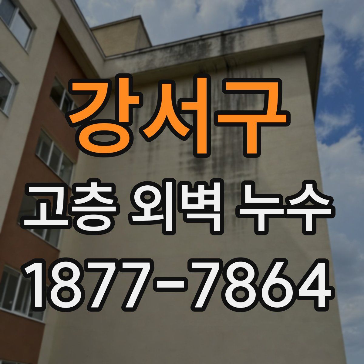 강서구 고층 외벽 누수