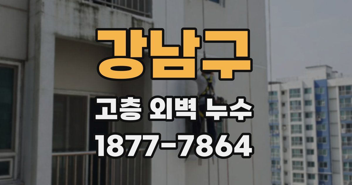 강남구 고층 외벽 누수