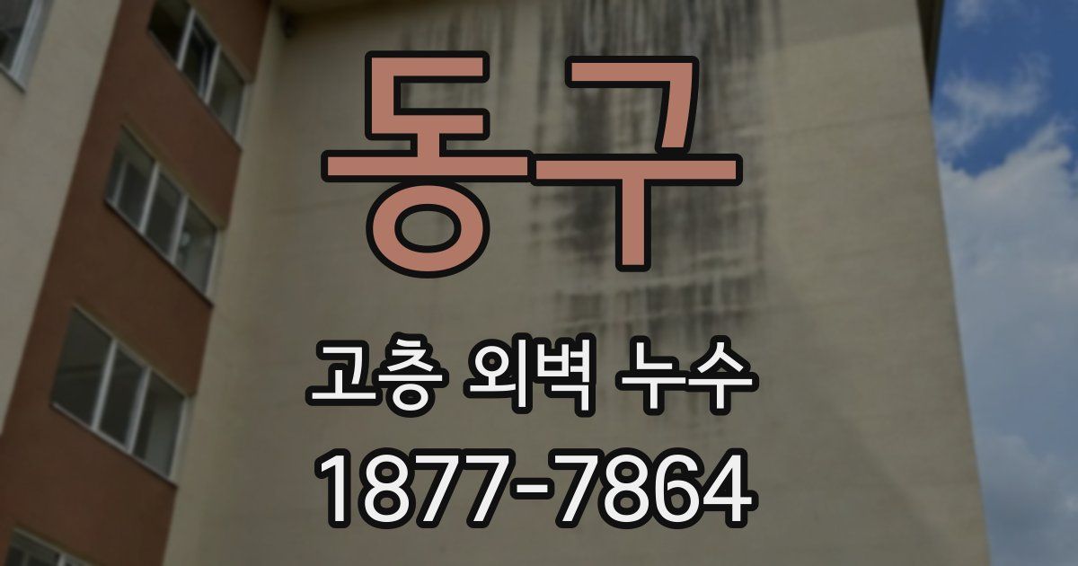 동구 고층 외벽 누수
