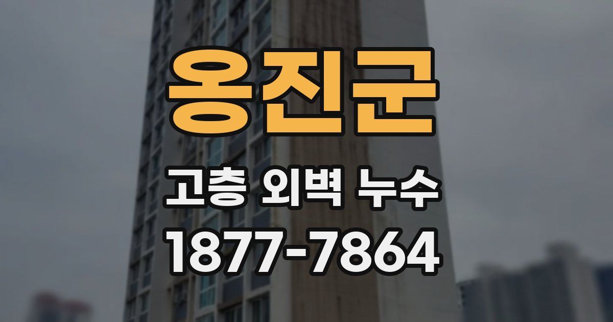 옹진군 고층 외벽 누수