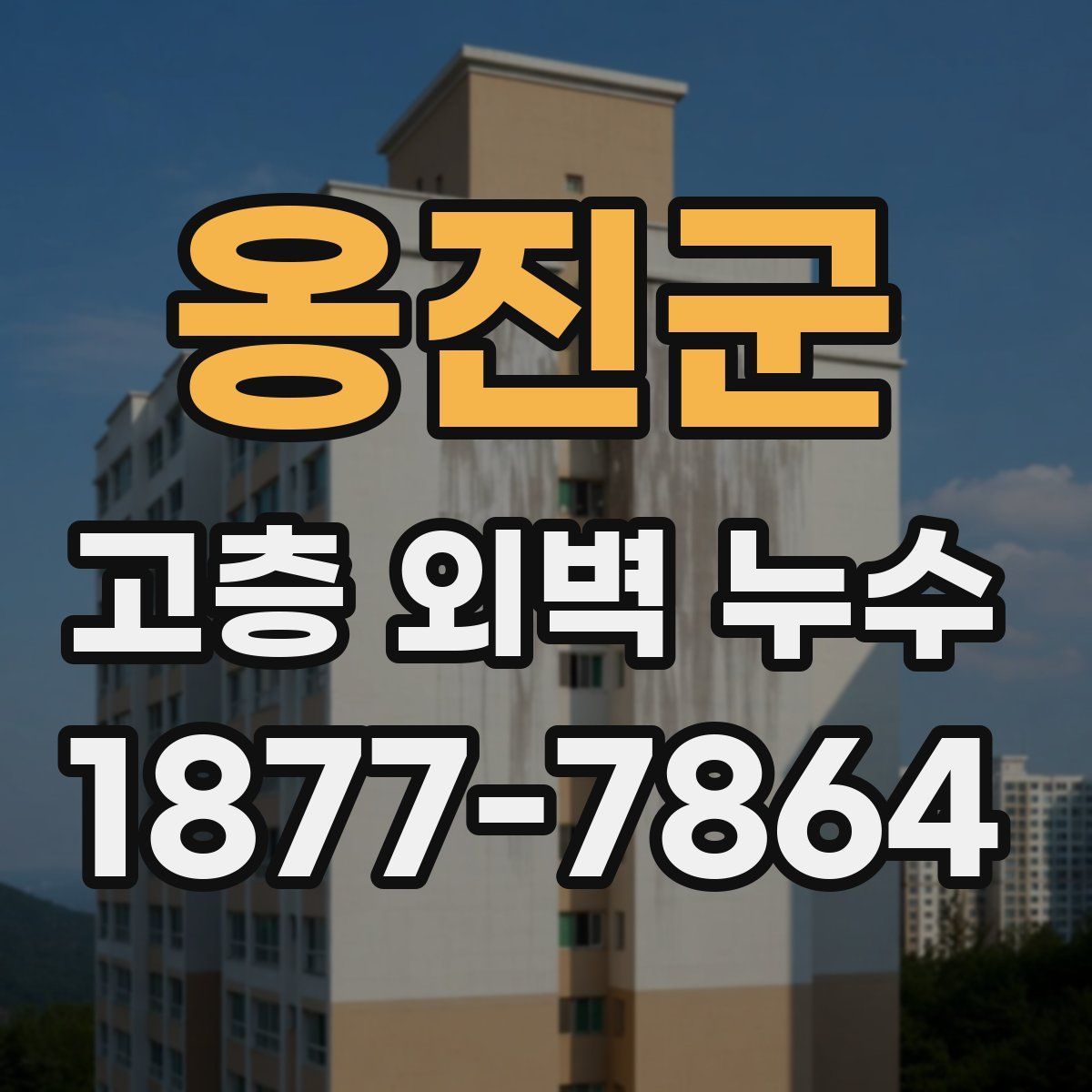 옹진군 고층 외벽 누수