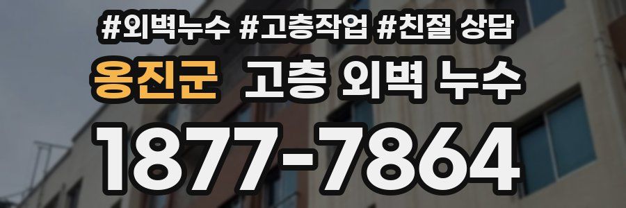 옹진군 고층 외벽 누수